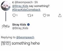 I M So Happy That They Actually Reply Kid Memes Stray Kpop Memes