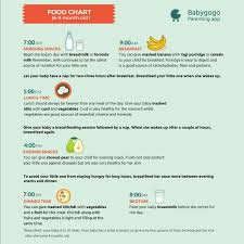 8th Month Baby Food Chart Ple Kiwi Fruit Is Best Or Not