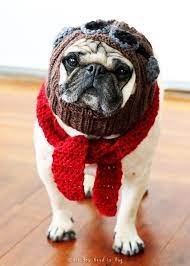 The Red Baron Dog Hat And Scarf Set Pug Hat Avaiator Hat Etsy Pet Clothes Dog Hat Dog Costume