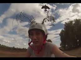 May 13, 2019 · the shores of gold is the first of the tall tales coming to sea of thieves. Woman Tries Different Things To Keep Swooping Magpies Away Video Izismile Com