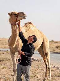 Now you can make your dream come true and enjoy all the. Horse And Camel Riding
