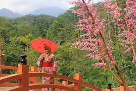 11 september 2018 pukul 23:41. Foto Lokasi Dan Harga Tiket Masuk The Hills Vaganza Kudus Jateng