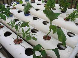 Gardening Tips Hydroponics Homemade Hydroponic System Hydroponics Diy Hydroponics System
