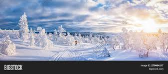 Maybe you would like to learn more about one of these? Panoramic View Young Image Photo Free Trial Bigstock