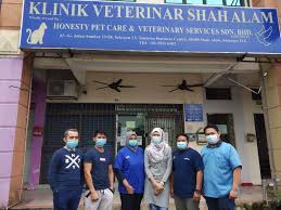 Samimi, sıcak, güven veren ve tecrübeli bir veteriner arıyorsanız doğru yer. Kreloses News