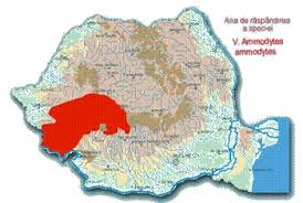 See more of roci și minerale on facebook. Zonele Din Romania In Care TrÄƒiesc Vipere