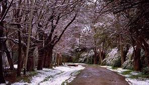 Dónde serán los festejos en buenos aires en 2019. Nieve Ituzaingo Y Parque Leloir 9 De Julio De 2007