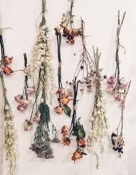 Find tips on how to choose plants and flowers for pressing as well a complete pressed flower tutorial here. Mystical Altar 5 Featuring Crystals Candle And Earthy Dried Flowers Flower Aesthetic Flowers