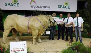 Palmarès concours National Charolais Space 2017