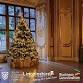 Harlaxton Festive Futures: Strategy, Tech  event image