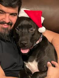 We are looking for an older puppy or a young adult. Our 15-yr old Riley  passed away in January and we need another one to love and care for. Any  info would