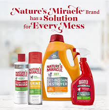 Nature S Miracle Advance Cat Stain And Odor Eliminator 32 Oz Pricepulse