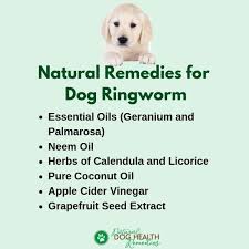Natural Home Remedies For Dogs With Ringworm Ringworm Remedies Dog Ringworm Home Remedies For Ringworm