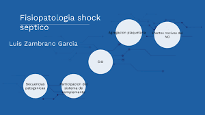 Las causas más comunes en pacientes inmunocompetentes incluyen muchas. Fisiopatologia Shock Septico By Luis Eduardo Zambrano Garcia