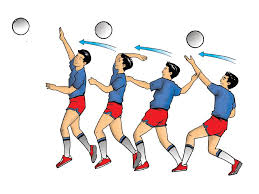 Sports For Life