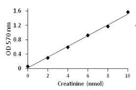 Creatinine Assay Kit Sufficient For 100 Colorimetric Or Fluorometric Tests Sigma Aldrich