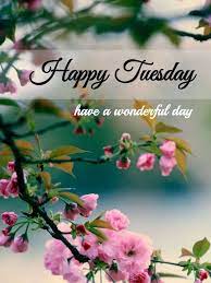 Happy Tuesday .. have a great day... - Good Morning Images | Facebook