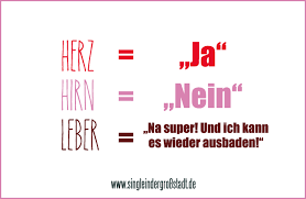 Spruch Herz Hirn Leber Single In Der Großstadt