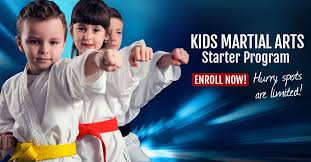 Landing Page Midwest Martial Arts Martial Arts Kids Martial Arts Workout Martial Arts