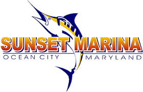 Sunset Marina Ocean City Md Fishing Charter Boat Sport