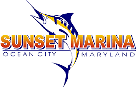 sunset marina ocean city md fishing charter boat sport