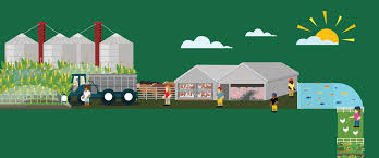 Our Changing Climate Lesson Plans Food System Curriculum Johns Hopkins University