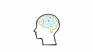 Sign In Cognitive Bias Mental Critical Thinking