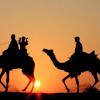 Celebration of jaisalmer desert festival 2020. Https Encrypted Tbn0 Gstatic Com Images Q Tbn And9gcstilsz2sk2l6frlrhwaptahbhpuzb8s7rqnkh5vhnlvbk4xcz9 Usqp Cau
