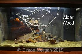 guide to aquarium wood  injaf