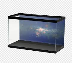 Check spelling or type a new query. My Fish Tank Aquarium Koi Terrarium Pelvicachromis Pulcher Underwater Products Glass Rectangle Aquarium Png Pngwing