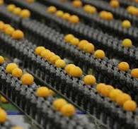 Citrus sorting and grading machines – Lemon, Lime, Orange ...