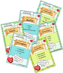 Tabu Spiel Im Biologieunterricht Tabu Spiel Lymphsystem Spiele