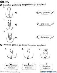 We did not find results for: Jenis Gigi Dan Fungsi Worksheet