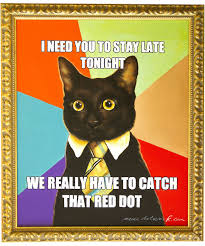 Business Cat Meme I Need To Stay Late Tonight We Really Have To That That Red Dot Business Cat Meme Business Cat Cat Memes