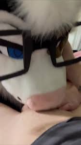 Fursuit female blowjob - ThisVid.com