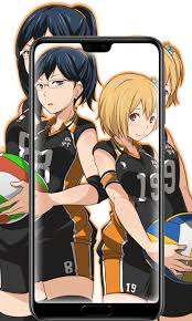 Hd wallpapers has a large variety of hd backgrounds updated every day! Haikyuu Wallpaper 4k Update For Android Apk Download