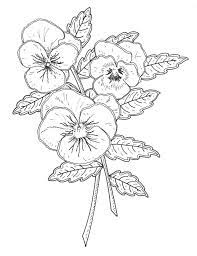Selection Of New Pansy Rubber Stamp Designs For Penny Black In Collaboration With My Agent Yellow House Art Licensing Pansies Flower Sketches Flower Drawing