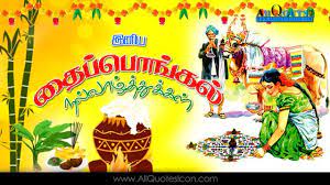 Pin On Thai Pongal