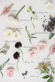 To help you better visualize the different types, we've created two visual guides listing the most popular types of greenery and filler flowers. Types Of Wedding Flowers By Colour Elegantwedding Ca Wedding Flower Guide Cheap Wedding Flowers Wedding Flower Types