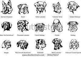 Black And White Dachshund Face Clipart Warning Sign Graphics Google Search With Images Dog Face Dog Vector Dog Breeds