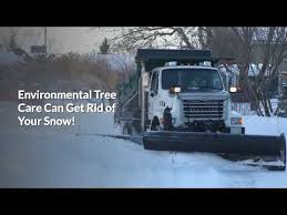 Select cleaning materials, load service caret and clean assigned areas…qualifications as an environmental services aide you will have: Snow Removal Denver Co Environmental Tree Care Peace Of Mind