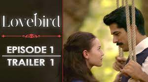 Lovebird - Episode 1 Trailer 1 | Subtitles (Multi-language) - YouTube