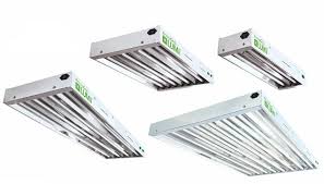 Maybe you would like to learn more about one of these? T5 Grow Lights Low Heat High Energy Fluorescent Lighting