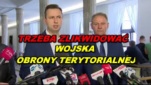 Władysław Kosiniak Kamysz o likwidacji WOT | TikTok