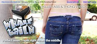 Whale tails the girls have when they are wearing low jeans and thongs are simply mind blowing. Whaletailn Com Siterip Ubiqfile Exclusive Siterips