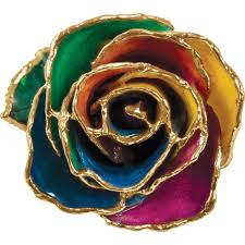 What does a gold dipped rose mean. 24k Yellow Gold Dipped Rainbow Rose