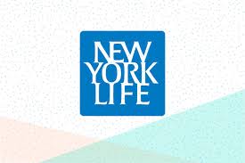 A small premium gives you immediate coverage and provides for a large death benefit payable upon the death of the insured to provide capital to provide an income for dependents. New York Life Insurance Review Life Insurance Simplified
