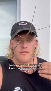 Weird, Fantastic, Beautiful and Odd