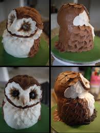 The barn owl is not only the world's most widely distributed species of owl, but is also one of the most widespread of all birds, as it is found on every scotland has the most northerly breeding barn owls in the northern hemisphere. Barn Owl Cake Gloverly Cupcakes