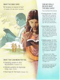 How Do You View The Bible Bible Answers Bible Bible Truth